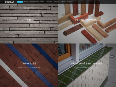 bricks.lt snapshot