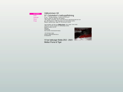 raskatt.se snapshot