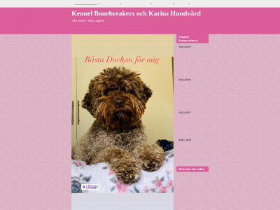 kennelbonebreakers.se snapshot