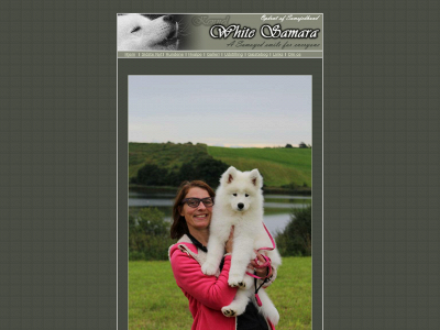 white-samara.dk snapshot