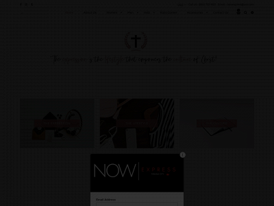 nowexpress.store snapshot