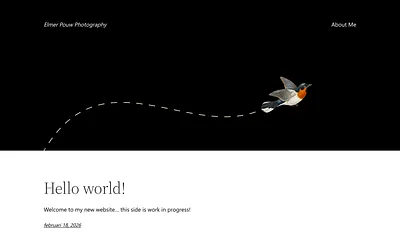 elmerpouw.nl snapshot