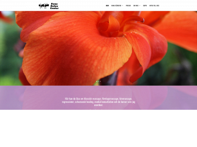 ewasrelaxcenter.com snapshot