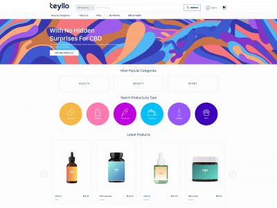 teyllo.com snapshot
