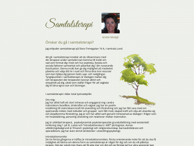 samtalsterapi.today snapshot