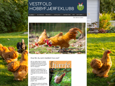 vestfold-hobbyfjerfe.com snapshot