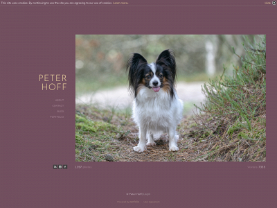 peterhoff.se snapshot