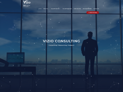 vizioconsulting.com snapshot