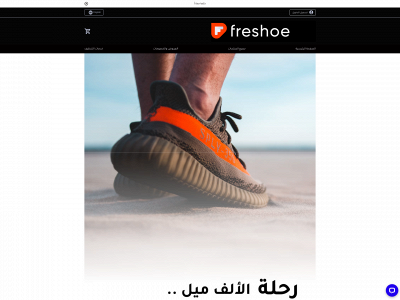 freshoe.sa snapshot