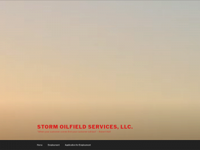 stormoilservices.com snapshot