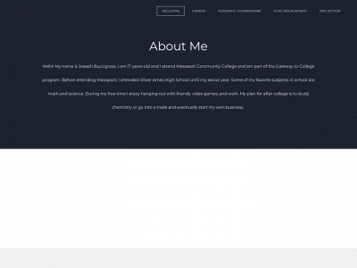 jbuccigrossgtc.weebly.com snapshot