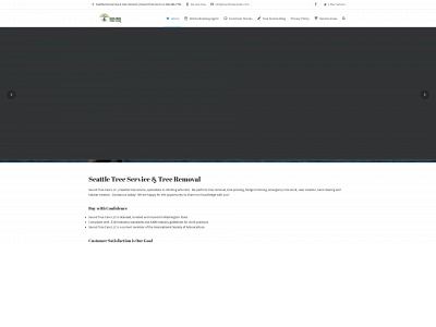 soundtreecarellc.com snapshot
