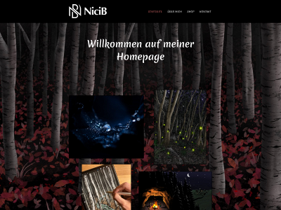 nicib.ch snapshot