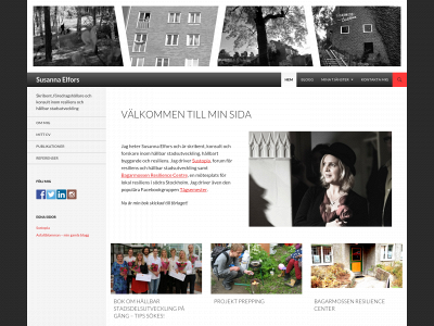 susannaelfors.se snapshot