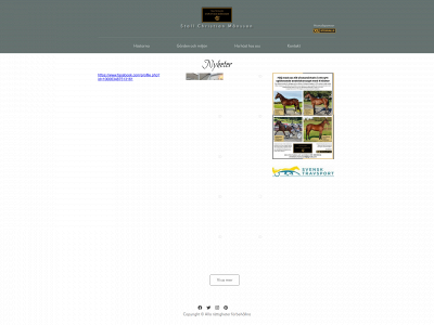 stallmansson.se snapshot