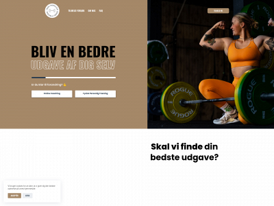 fridatfitness.dk snapshot