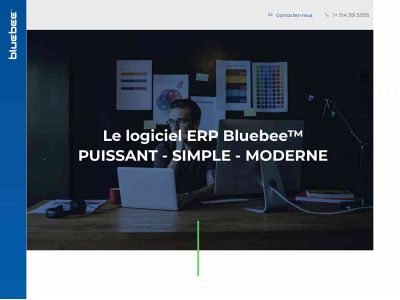 bluebeesoftware.com snapshot