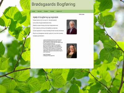 broedsgaardsbogfoering.dk snapshot