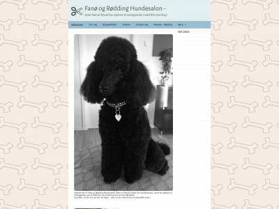 fanoehundesalon.dk snapshot