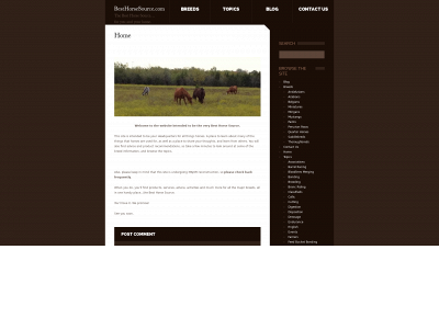 besthorsesource.com snapshot