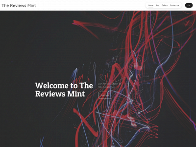 reviewsmint.com snapshot