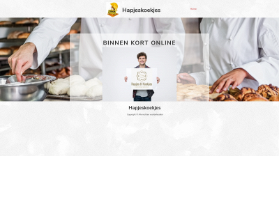 hapjeskoekjes.nl snapshot