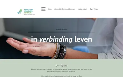 tjitskevolkerink.nl snapshot
