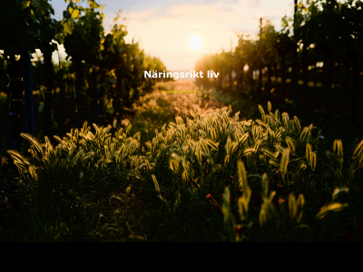 naringsriktliv.se snapshot