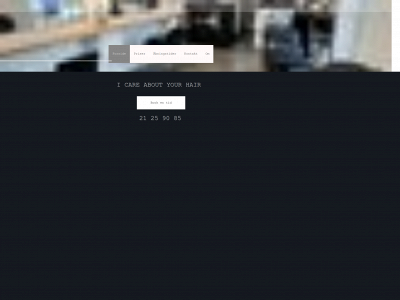salonpax.dk snapshot
