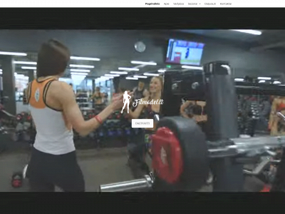 fitmodel.lt snapshot