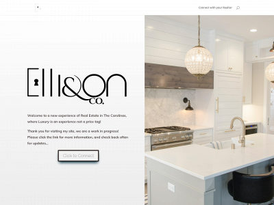 thesellison.com snapshot