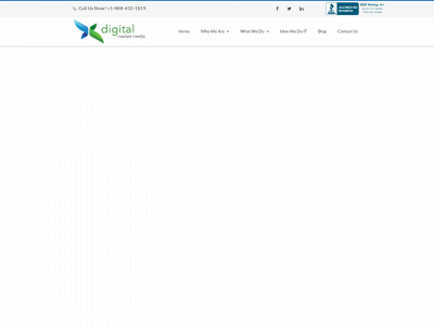 digitalmarketmedia.com snapshot
