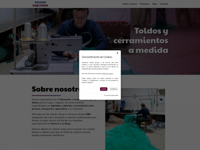 www.toldosezquerro.com snapshot
