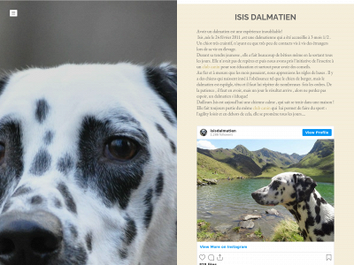 dalmatien-isis.weebly.com snapshot