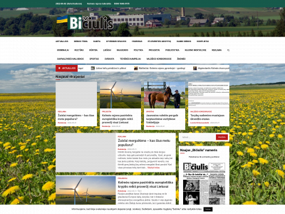 biciulis.net snapshot