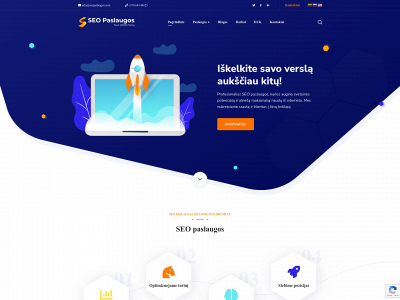 seopaslaugos.com snapshot