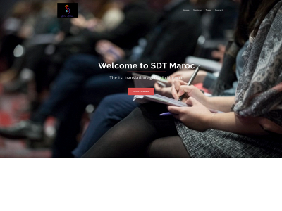 servicesdetraduction.com snapshot