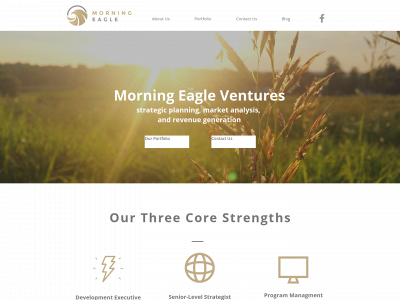 morningeagleventures.com snapshot