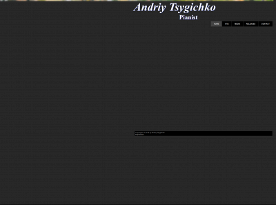tsygichko.com snapshot