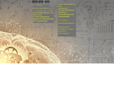 visualisetherapy.com snapshot