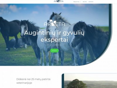 arveta.lt snapshot