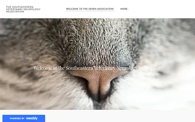 www.seveneuro.com snapshot