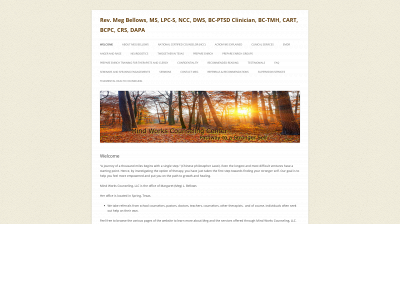 mindworkscounseling.com snapshot