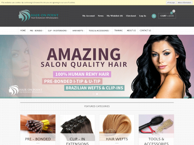 haironpoint.com snapshot