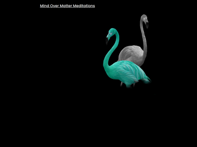 mindovermattermeditations.com snapshot
