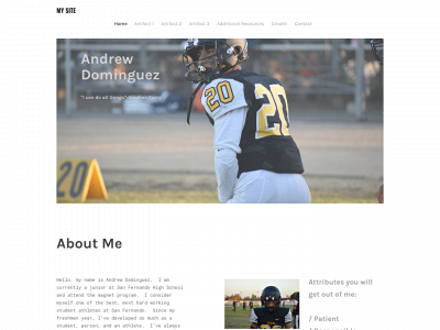 andrewdominguez20.weebly.com snapshot