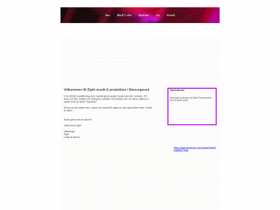 zight.se snapshot