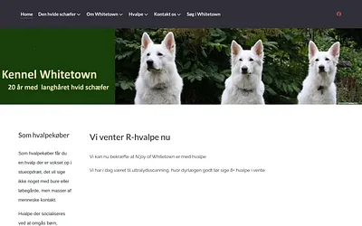 whitetown.dk snapshot