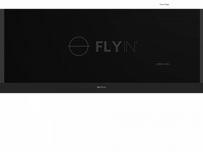 flyin.lt snapshot