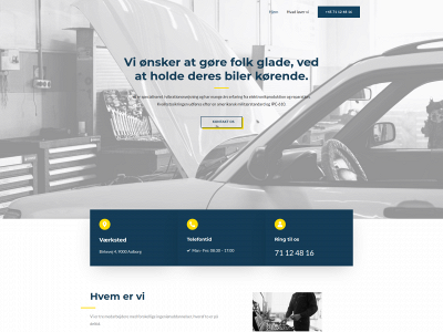 aerep.dk snapshot